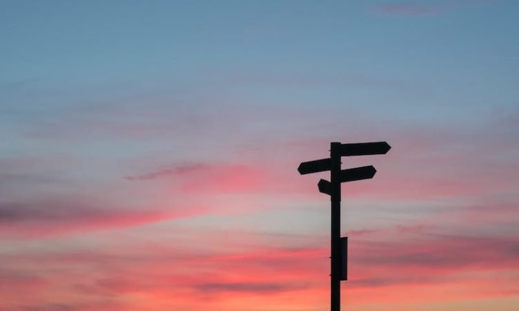 silhouette of road signage during golden hour