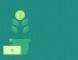 Coin plant
