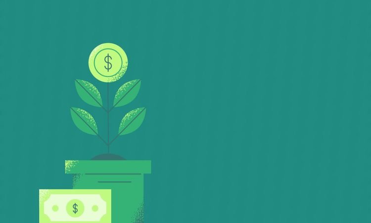 Coin plant