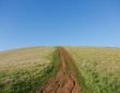 green and brown grass field